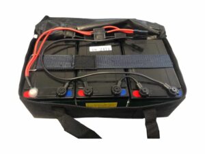 UberScoot 1000w Battery Pack (36v)